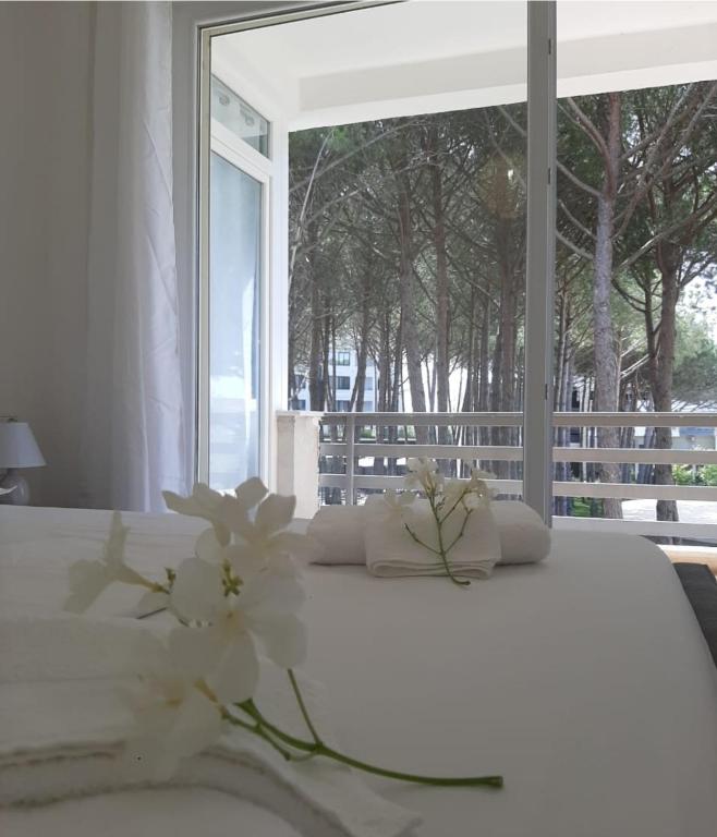 Alex's Condo - Imazhi 5
