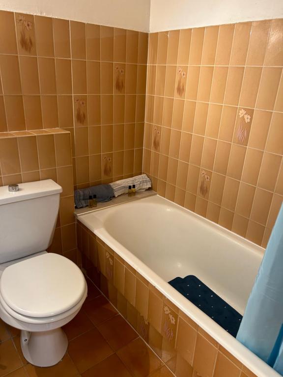 a bathroom with a toilet and a bath tub at Deux pièces proche plage et centres commerciaux. in Saint-Laurent-du-Var