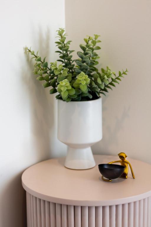 Haven near Hagley Park, Hospital, Parakiore, Avon - Resim 16