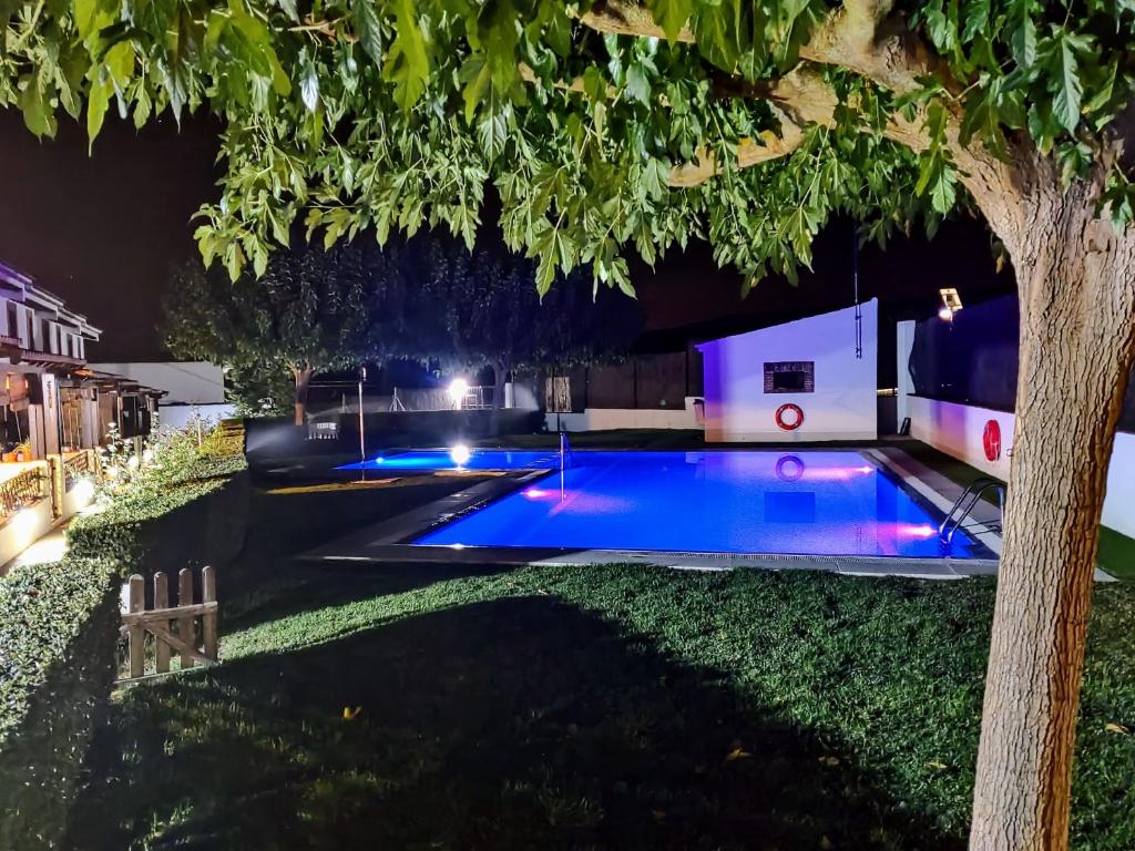 Bazén v ubytování Apartamento Rural Villa Aurora nebo v jeho okolí