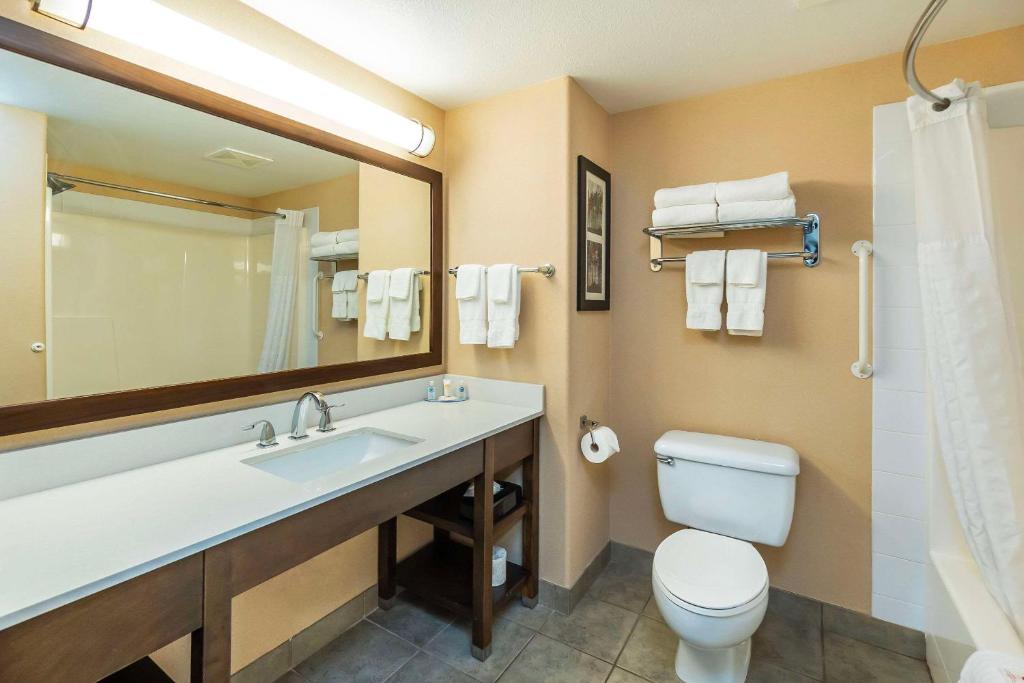 Koupelna v ubytování Comfort Inn & Suites