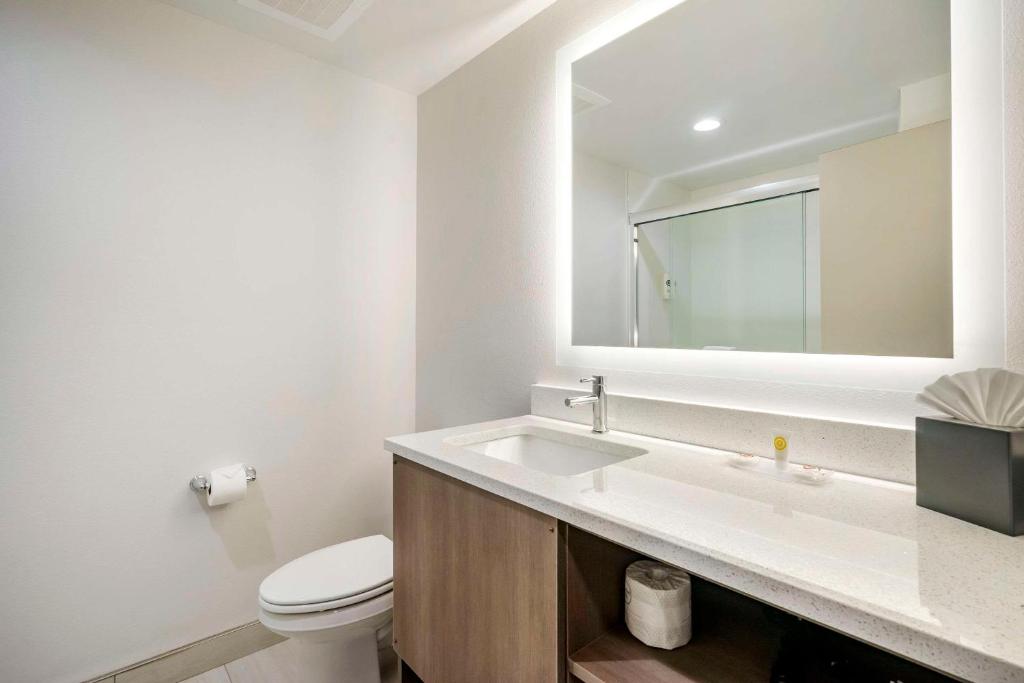 Comfort Inn & Suites New Port Richey Downtown District - King Room - No Fumador
