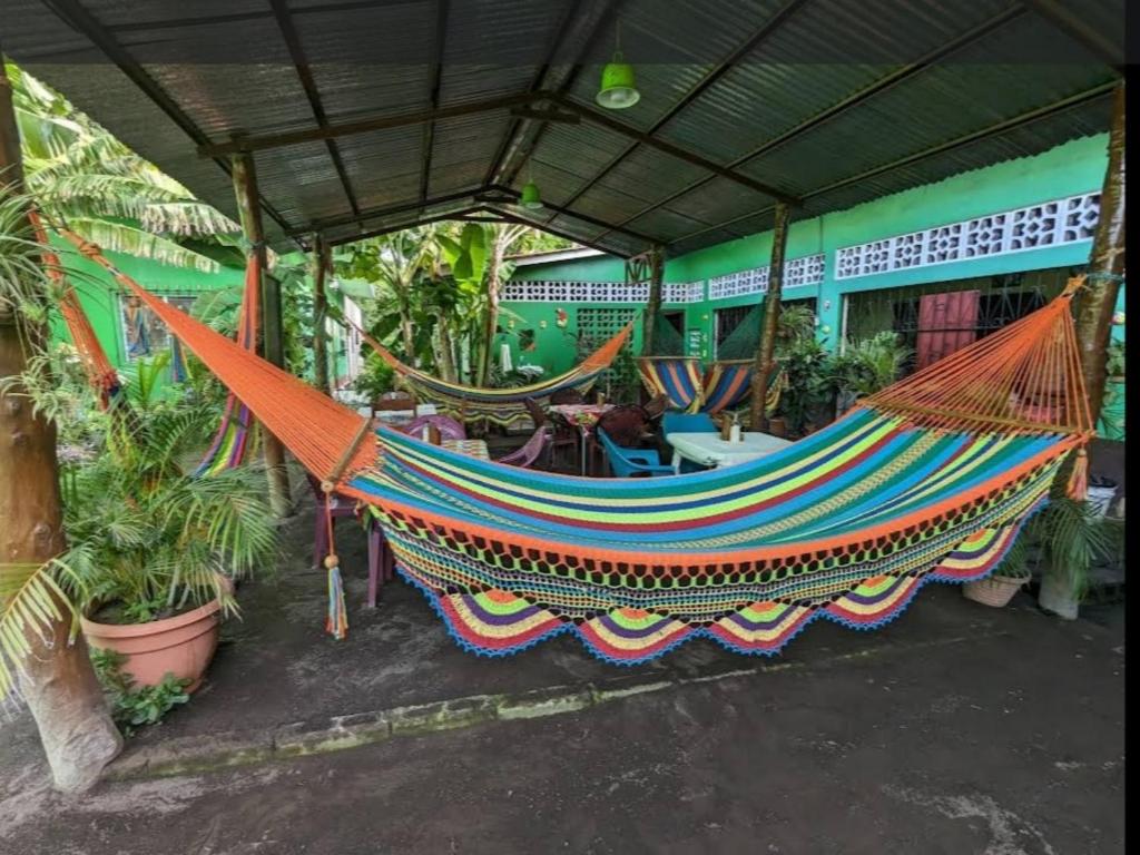 een hangmat hangend aan een gebouw met planten bij Cocos Hostel in Moyogalpa