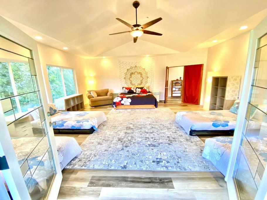 a living room with two beds and a ceiling fan at THE HONOMU HOUSE - Gorgeous, Spacious 4Bd2Ba Home near Waterfalls and Hilo, Sleeps 12! in Honomu