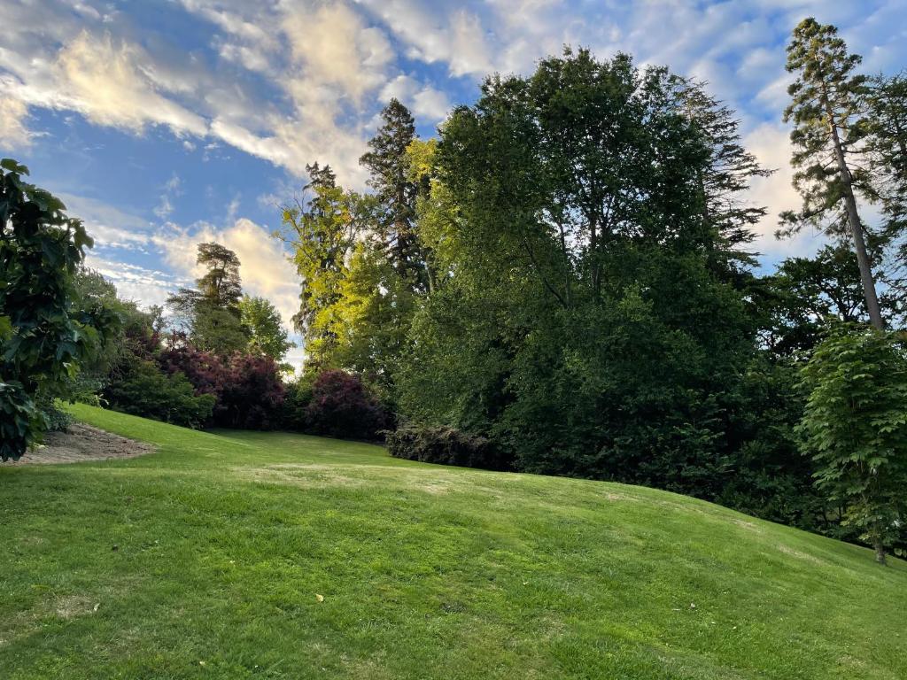 Pihopa Retreat - Resim 10