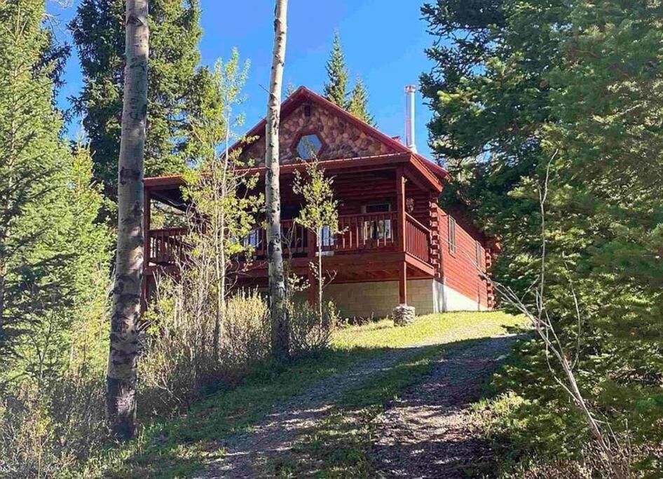 a log cabin in the woods with a path in front of it at Beautiful Mountain Cabin near Tetons Yellowstone in Dubois