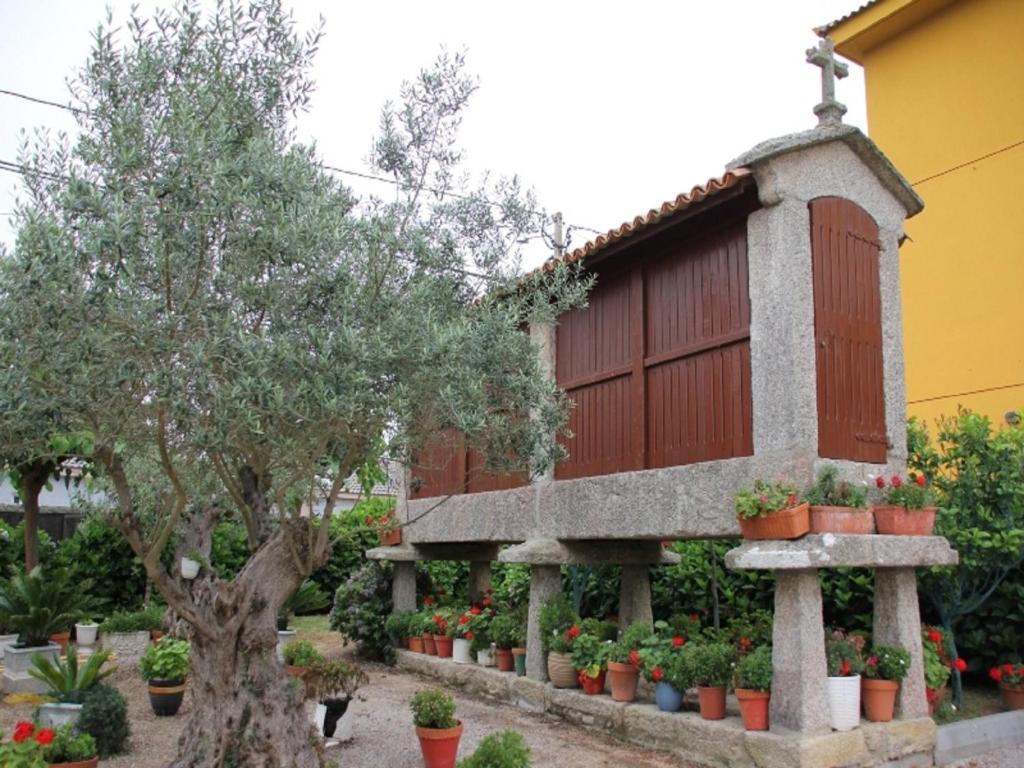 Zahrada ubytování Hotel Delfin Azul