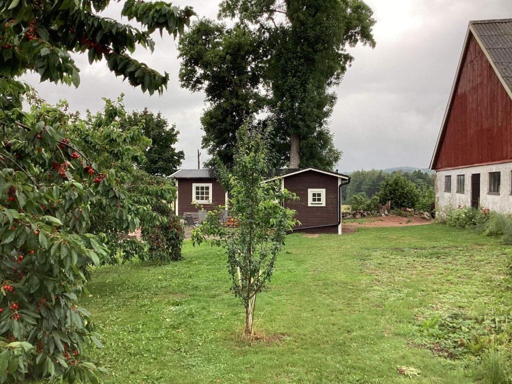 un petit arbre dans une cour à côté d'une grange dans l'établissement Holiday home ARKELSTORP, à Arkelstorp