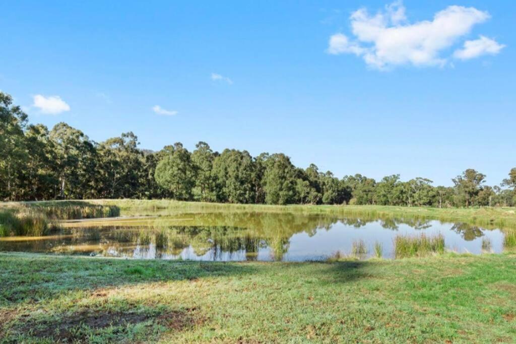 a pond in a field with trees in the background at Family-Friendly Gorgeous Farm House (TF195223) in Dixons Creek