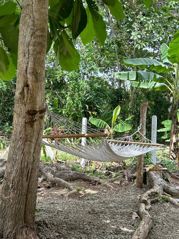 Zahrada ubytování Casa Martin Cahuita Charming Spanish Home