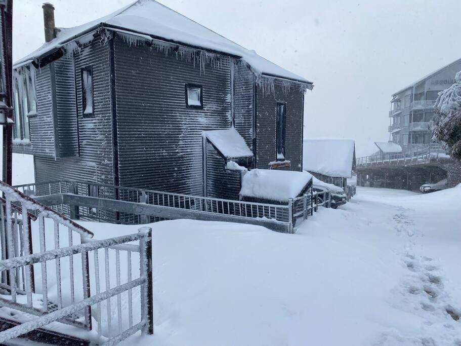 Sub-Zero Mt Hotham v zimě