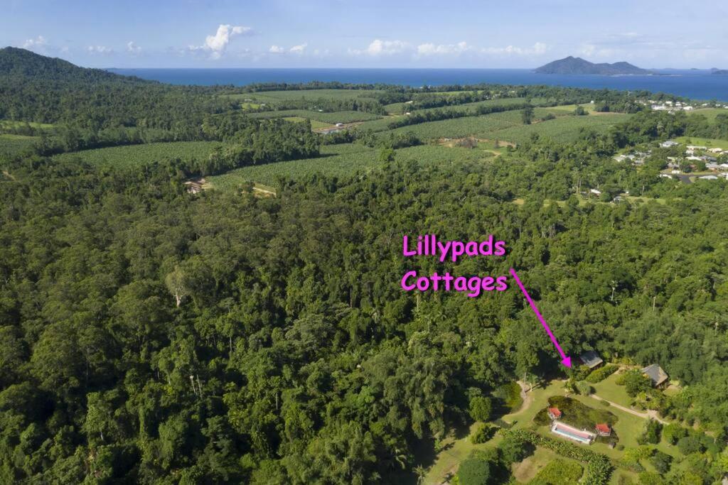 Vue aérienne d'une forêt avec les mots campus de nénuphars dans l'établissement Lillypads Yellow Cottage - Rainforest Getaway, à Mission Beach