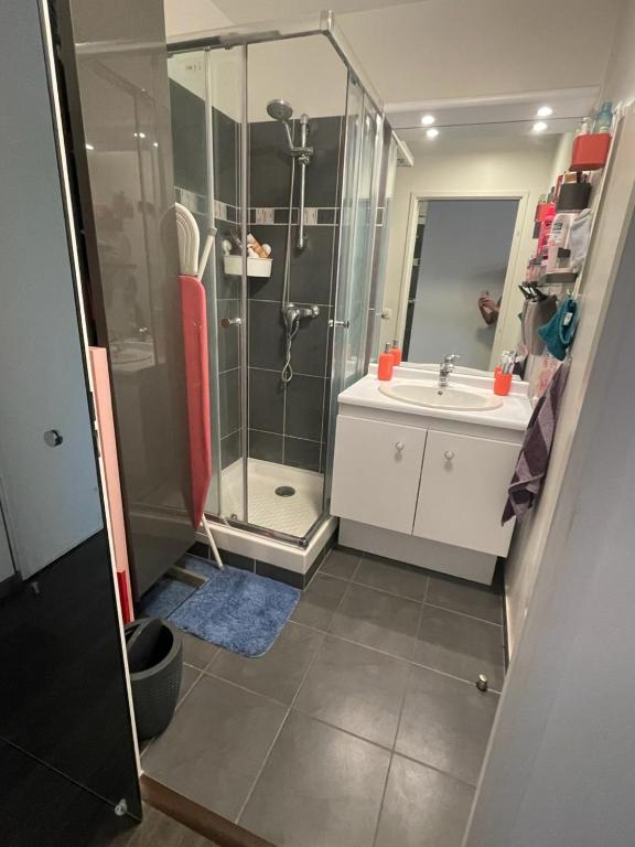 a bathroom with a shower and a sink at F4 lumineux proche du stade de France in Saint-Denis