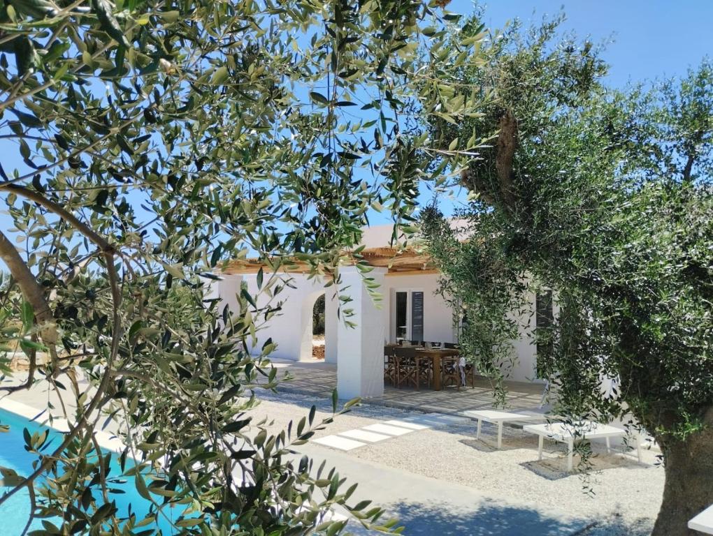 a white house with trees in front of it at Villa Pupetta Ostuni 4 bedrooms 4 bathrooms - swimming pool in Ostuni