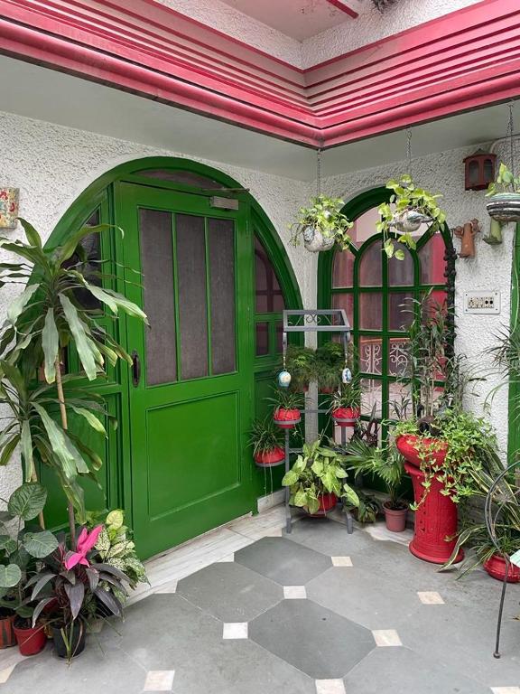 Zahrada ubytování Delhi Bed and Breakfast