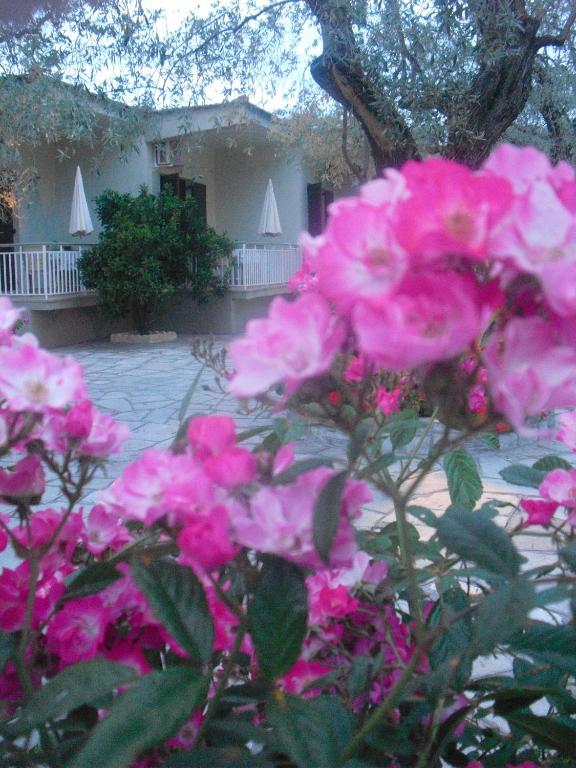 Vonkajšia záhrada v ubytovaní Guesthouse Irene