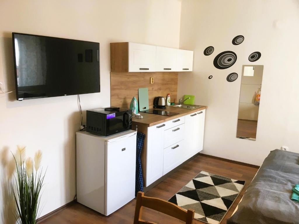 Kuchyň nebo kuchyňský kout v ubytování City Center Apartments - Moderna Brno Římské náměstí V