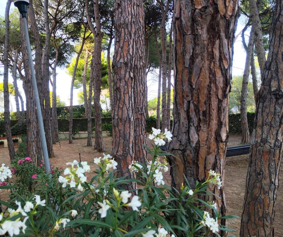 A garden outside Apartamento con AMPLIA TERRAZA Y VISTAS AL MAR a 150 metros de la playa