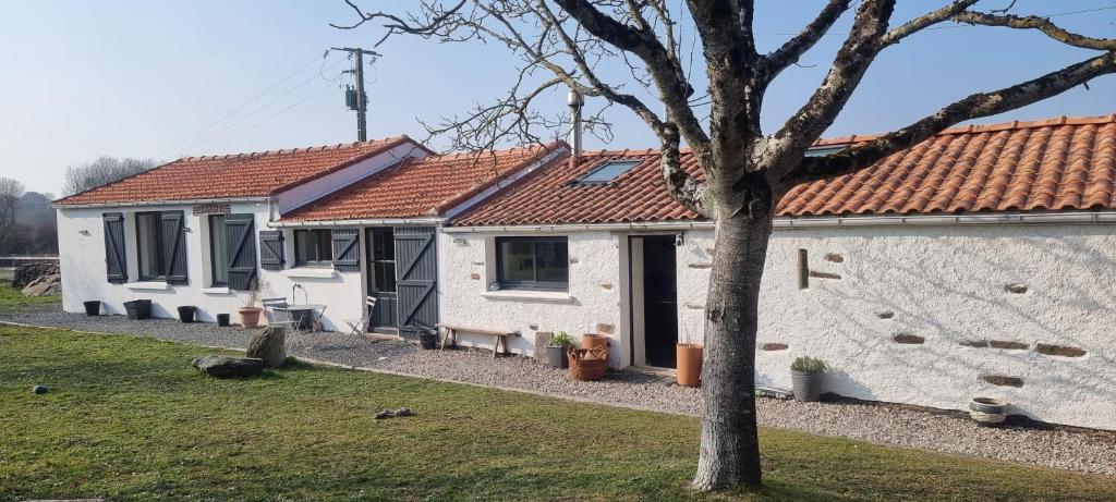 une maison blanche avec un arbre devant dans l'établissement Longère typique à 2 km de la mer, à Pornic