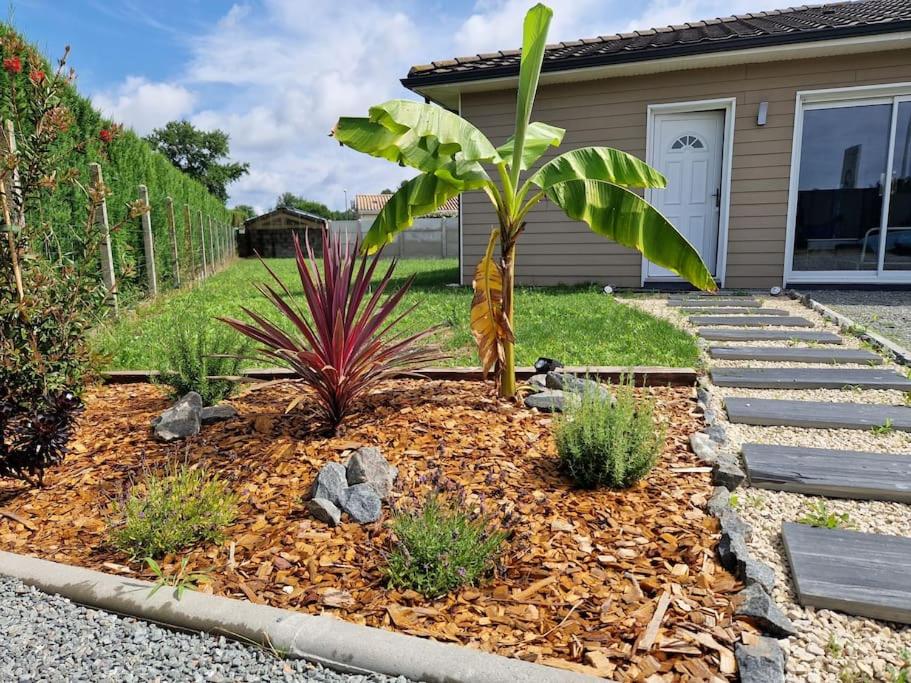 un giardino con una palma di fronte a una casa di La VILLA DES PINS Maison Standing 7 pers Terre et Mer a Brach