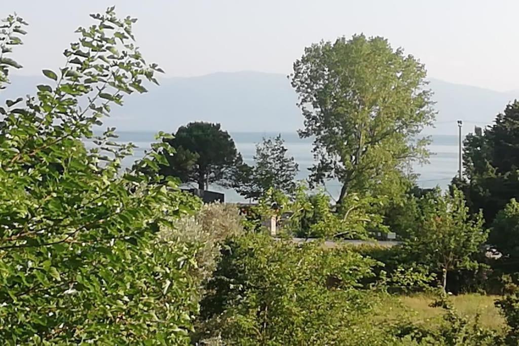 una vista de un campo con árboles en el fondo en göl manzarali ılıcaya ve göle 200m uzaklikta, en Boyalıca