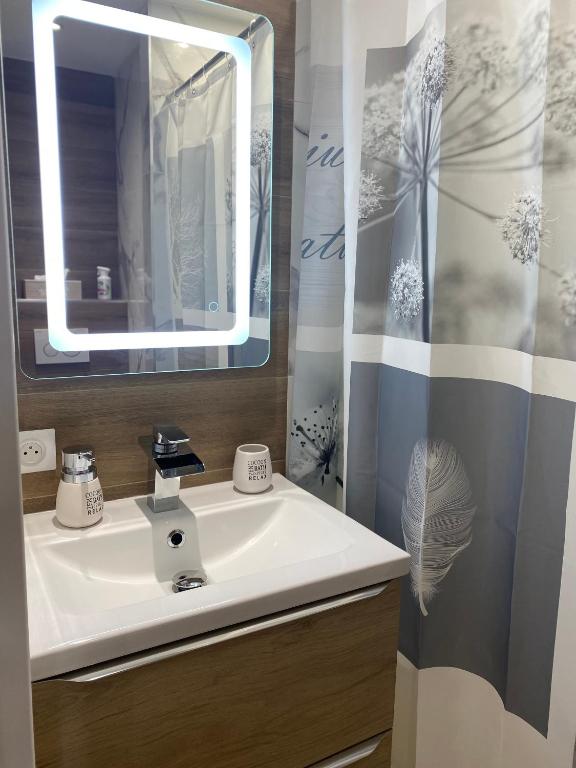 Kúpeľňa v ubytovaní Studio CANNES PARC CROISETTE