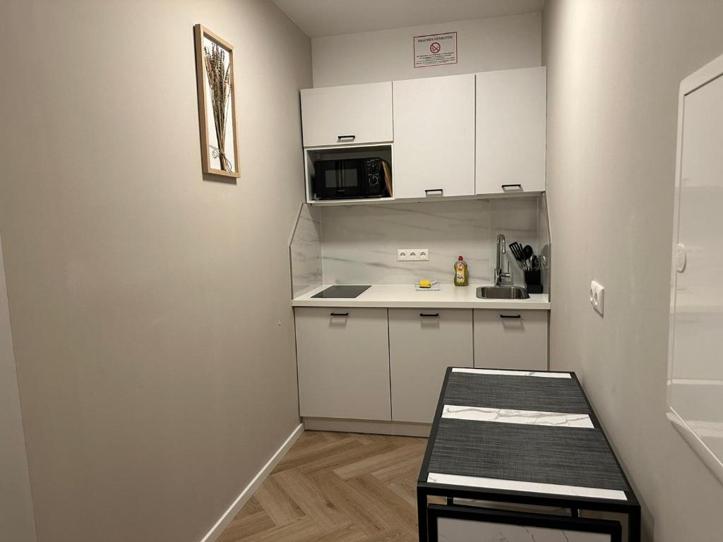 Kuchyň nebo kuchyňský kout v ubytování Aparthotel Lenau