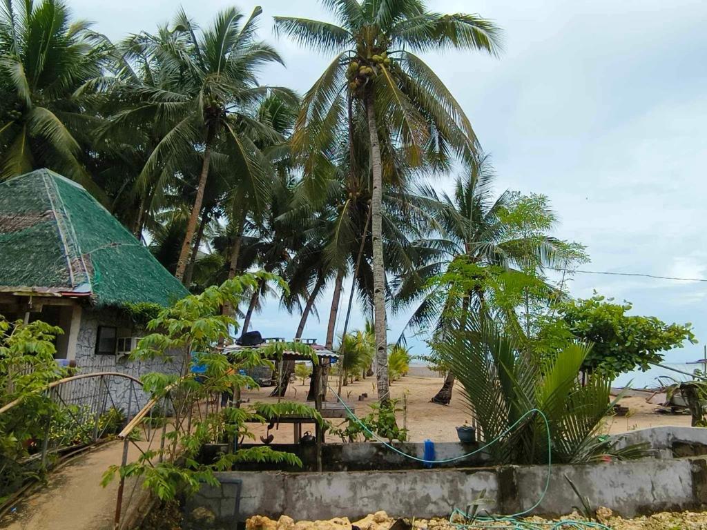 a house on the beach with palm trees in the background at Tiliponan Nipa Hut in Buenavista