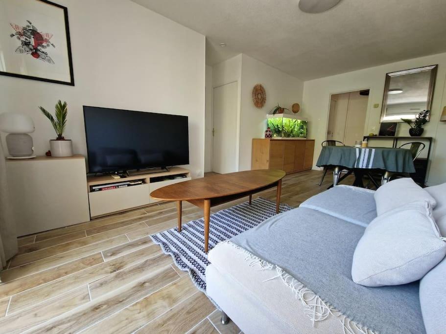 ein Wohnzimmer mit einem Bett und einem Flachbild-TV in der Unterkunft Bel appartement avec jardin in Aix-en-Provence