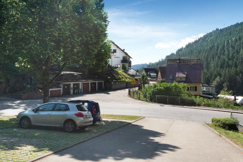 Příroda nedaleko apartmánu