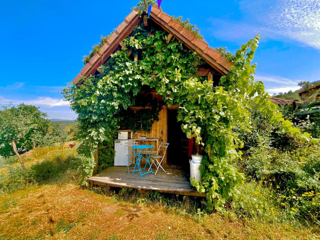 un gazebo recouvert de vignes avec une table et des chaises dans l'établissement la colline seive, à Boulieu-lès-Annonay