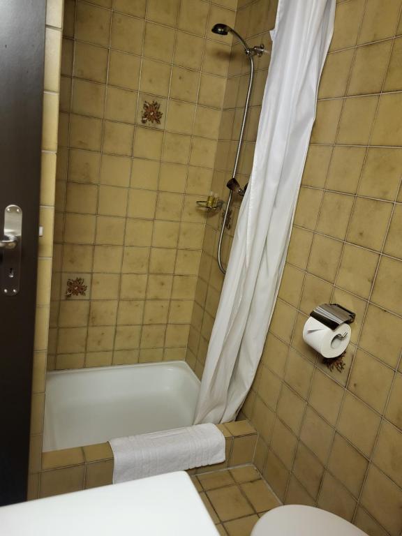 a bathroom with a shower with a toilet and a sink at Hotel Stadthof Glarus in Glarus