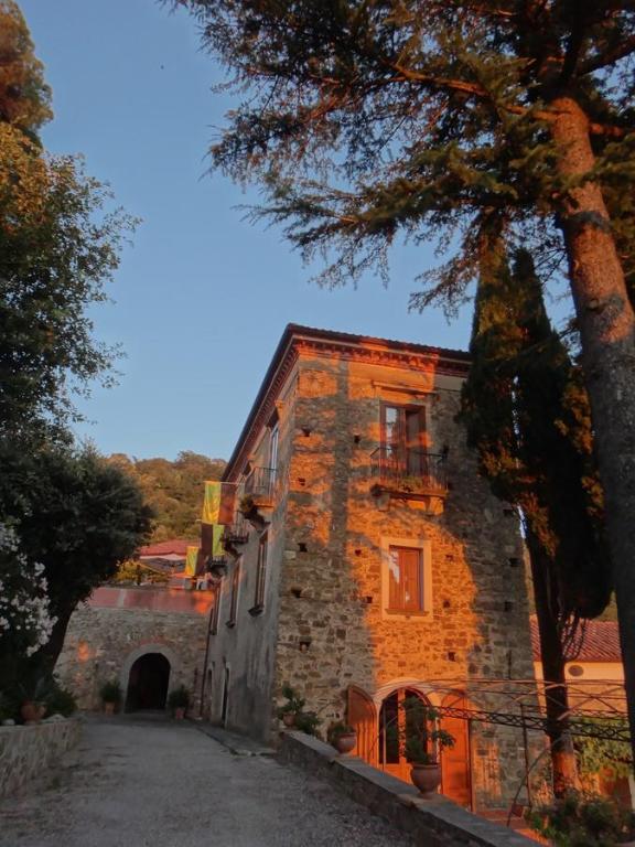 um edifício de tijolos com uma árvore em frente em Casa Albini em Torchiara