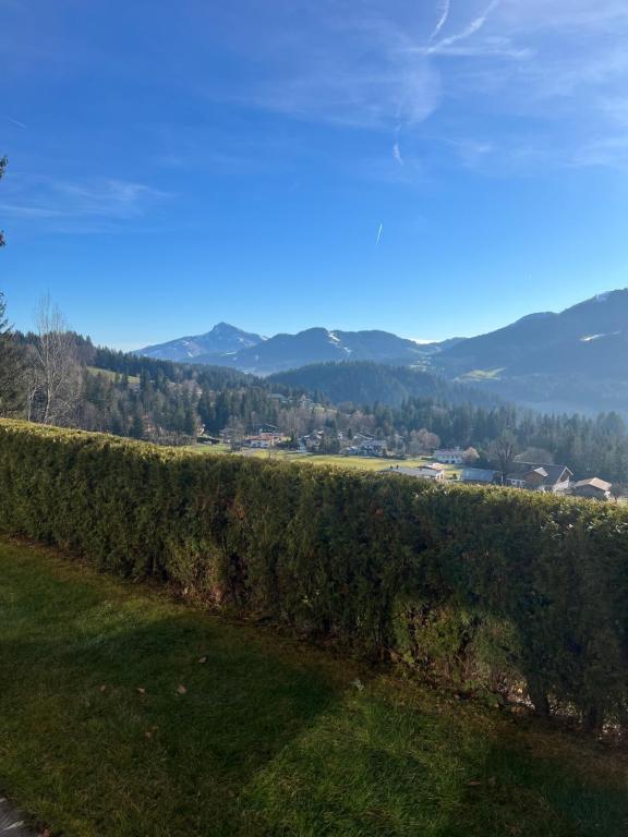 un campo de setos con montañas al fondo en Haus Colorado am Gaisberg, en Scheffau am Wilden Kaiser