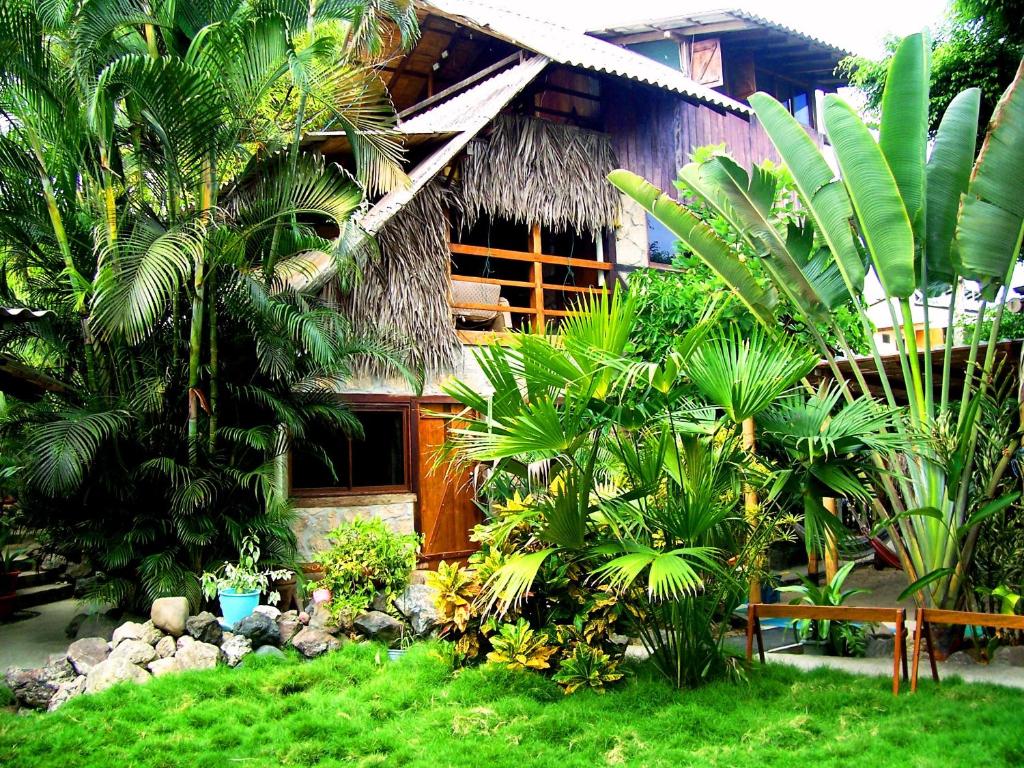 A garden outside Hostal Oloncito