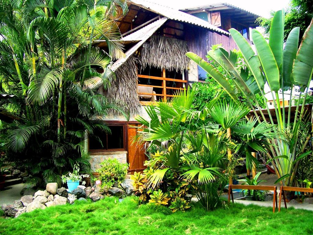 una casa con palmeras y un banco en un patio en Hostal Oloncito, en Olón