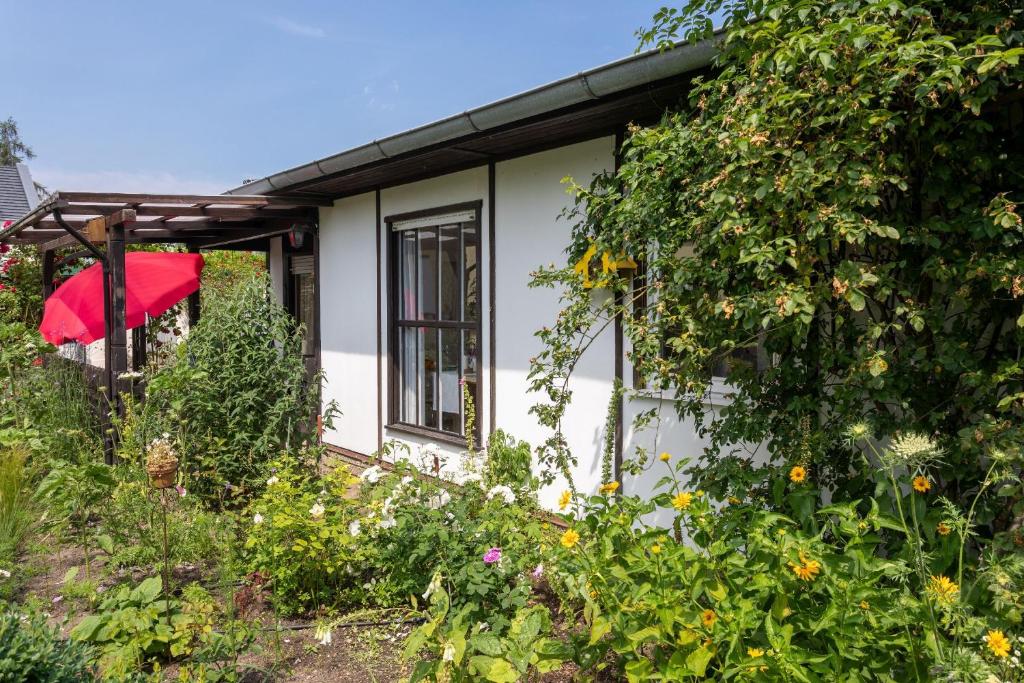 une maison blanche avec un parasol rouge dans un jardin dans l'établissement Domizil Am Park Sanssouci, à Potsdam