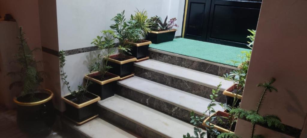 a set of stairs with potted plants on them at Complexe zohour in Tangier