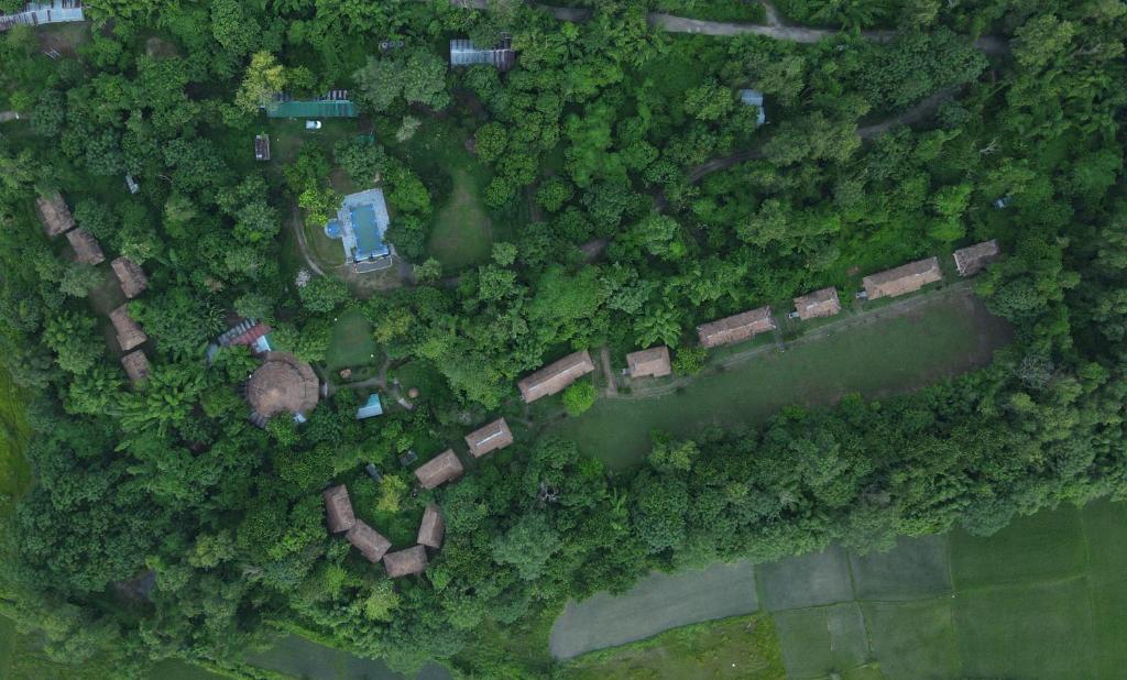 Temple Tiger Green Jungle Resort