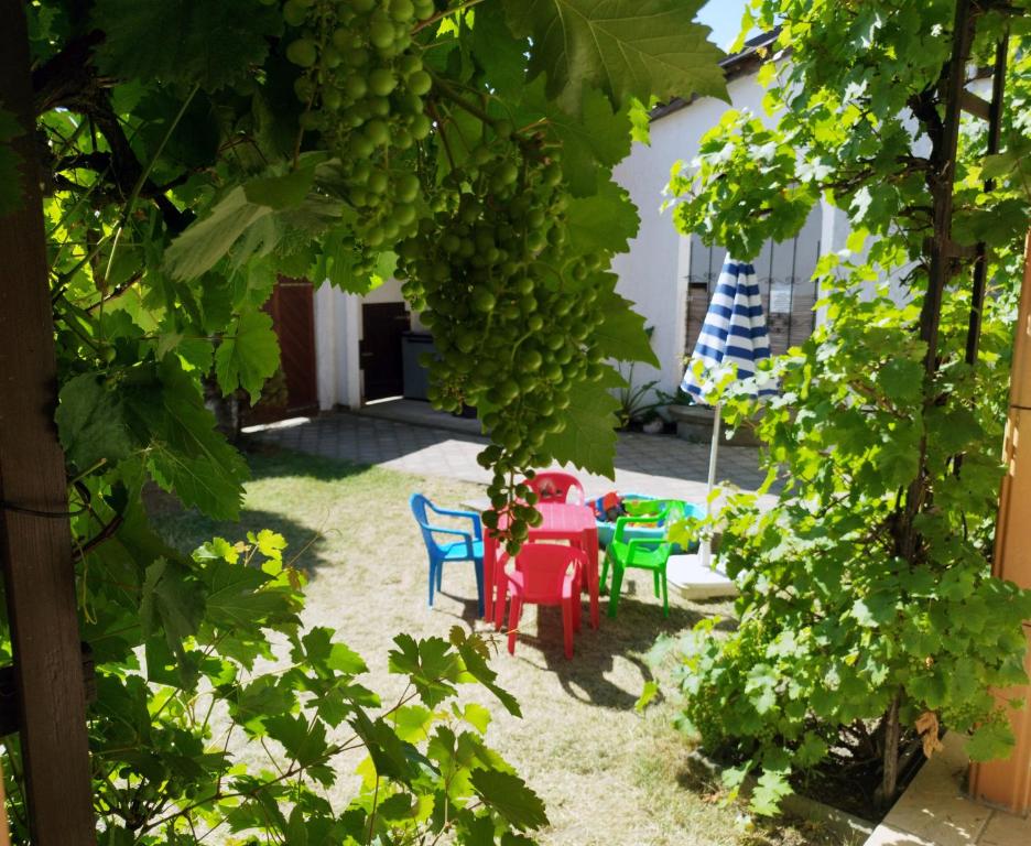 Zahrada ubytování Chata Lucie pod Řípem