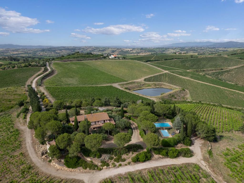 - une vue aérienne sur un vignoble avec une maison et un lac dans l'établissement Villa La Veduta by Interhome, à Grosseto