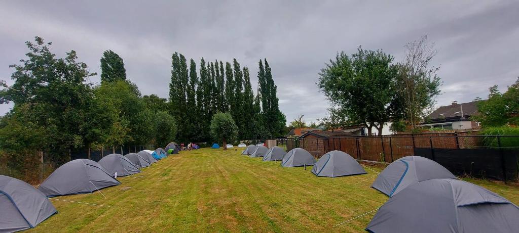 Pop Up Camping Tomorrow's Paradise, Schelle – Updated 2023 Prices