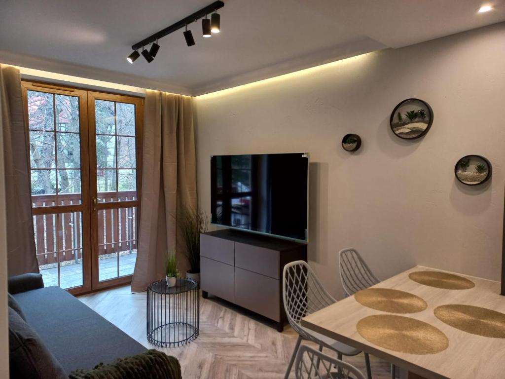 Μια τηλεόραση ή/και κέντρο ψυχαγωγίας στο Apartament Centrum - Szum potoku