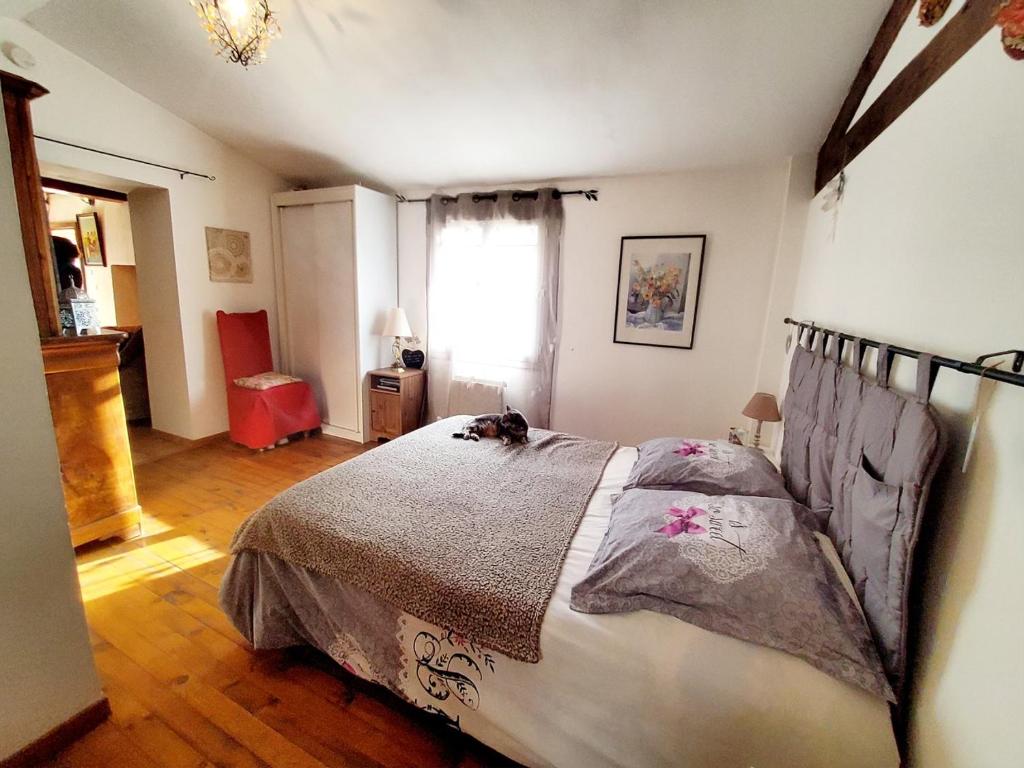 um quarto com uma cama com um gato deitado sobre ela em Villa le thoronet em Le Thoronet