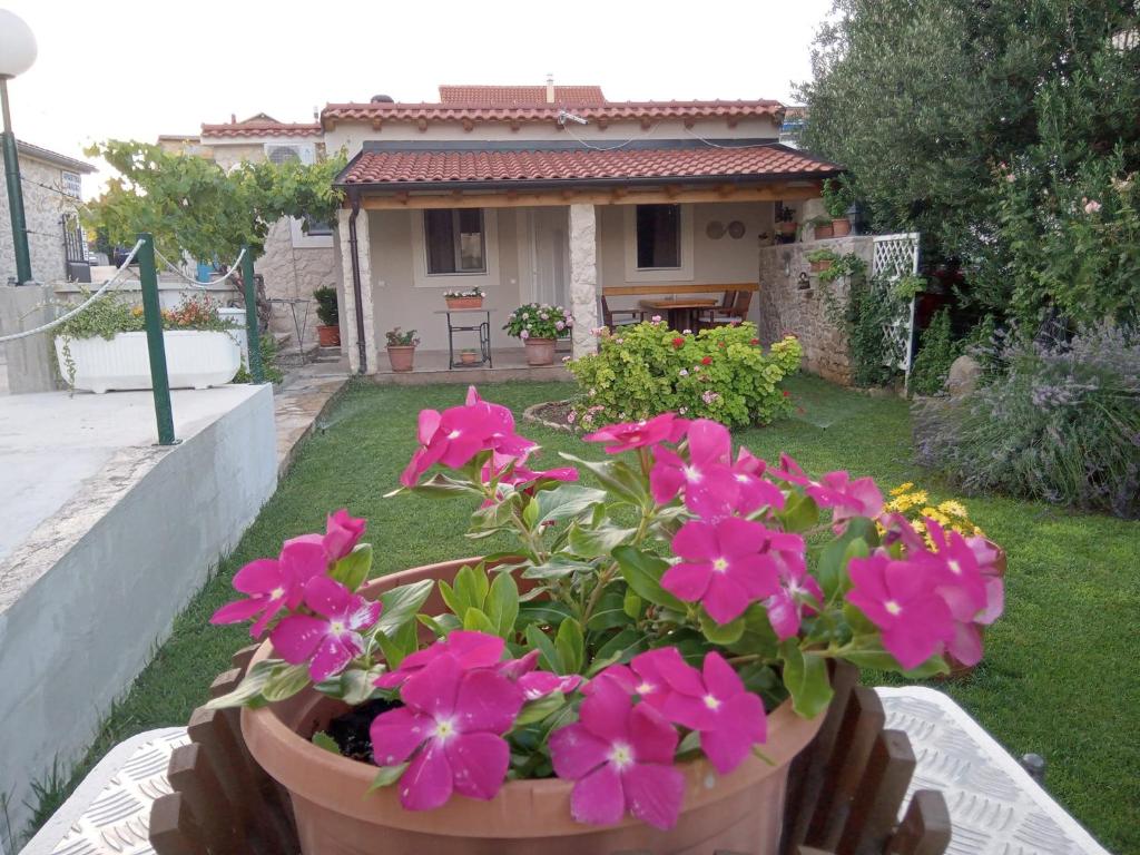 una maceta de flores rosas en un patio en Apartments Janjac, en Vodice