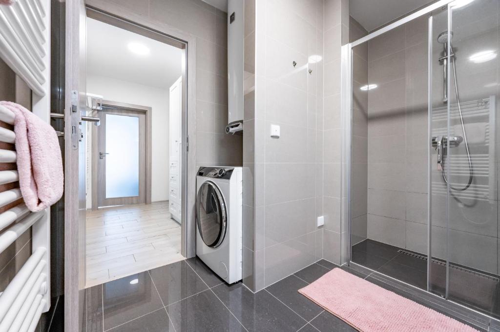 Koupelna v ubytování Horní Mísečky - I3 Pohodlný a teplý apartmán u sjezdovky
