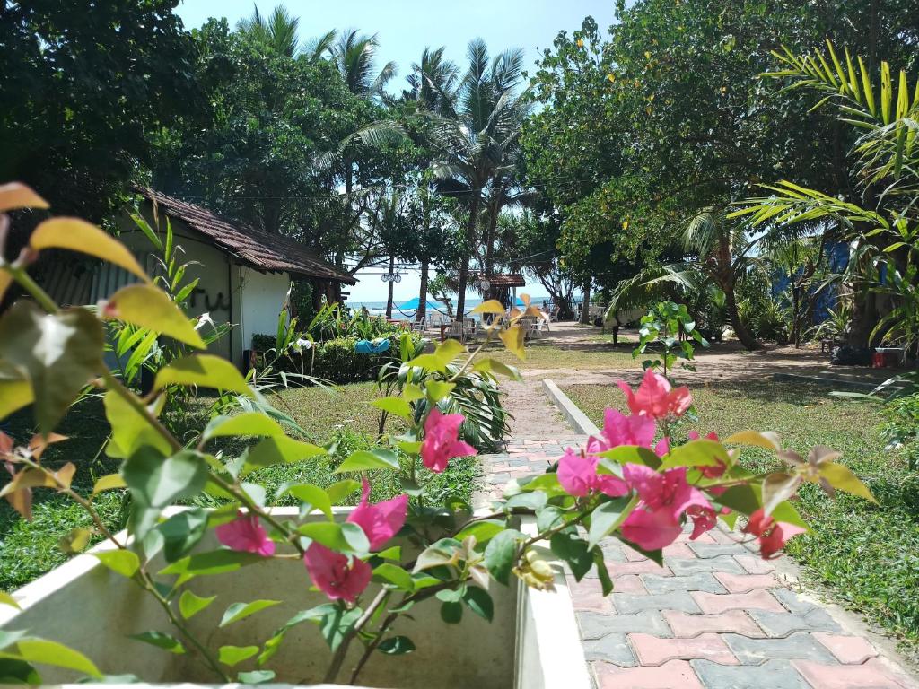 Turtle Bay Beach Resort - 8