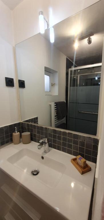 a bathroom with a sink and a mirror at Studio en plein cœur de la ville in Mazan