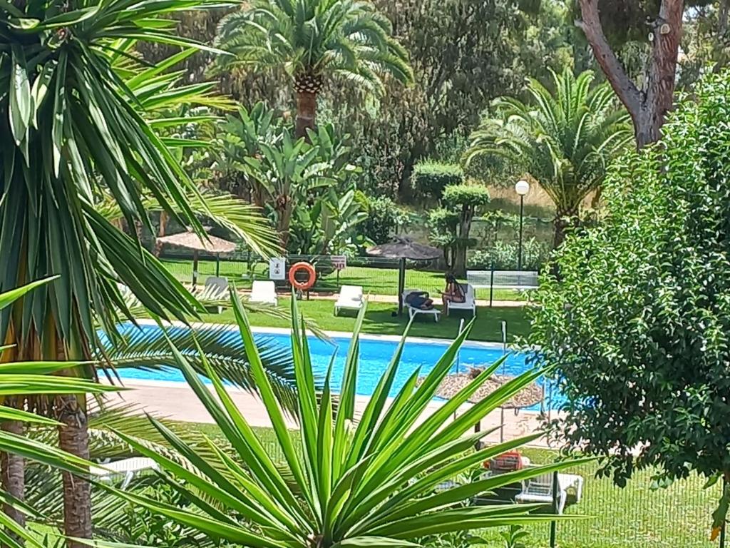 una piscina en un parque con palmeras en Suite Puerto Banus con piscina, en Marbella