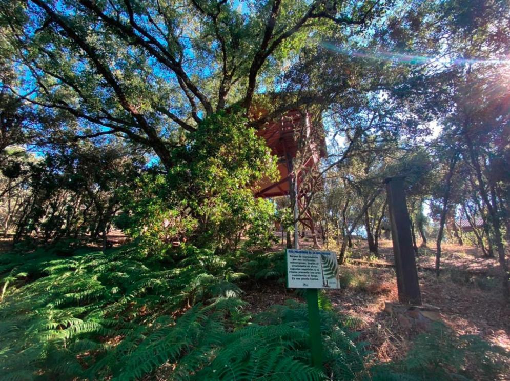 um sinal no meio de uma floresta com uma árvore em ECOLODGE CABAÑEROS 